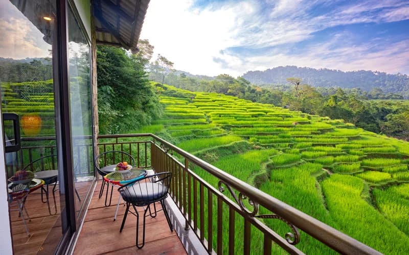 villa-pu-luong-gan-ruong-bac-thang-check-in-cuc-dep-central