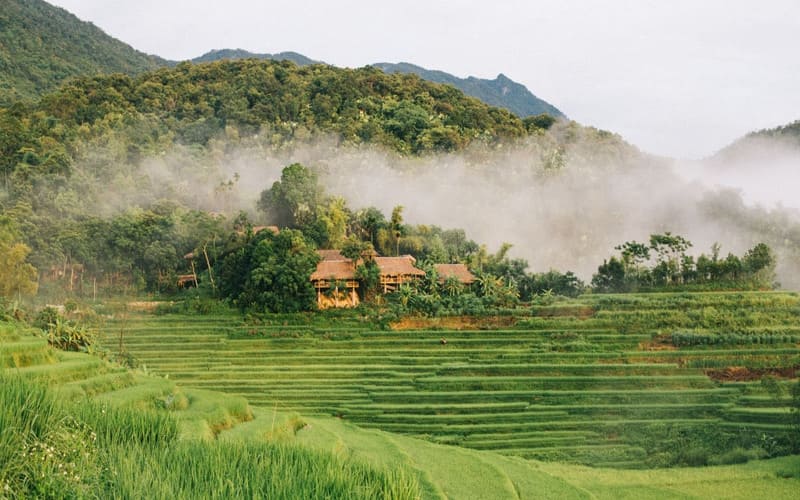 ban-don-kho-muong-hay-ban-hieu-diem-nao-dep-hon3