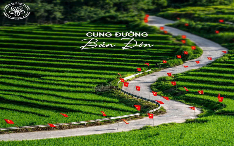 check-in-pu-luong-mua-lua-chin-voi-15-goc-chup-dep6