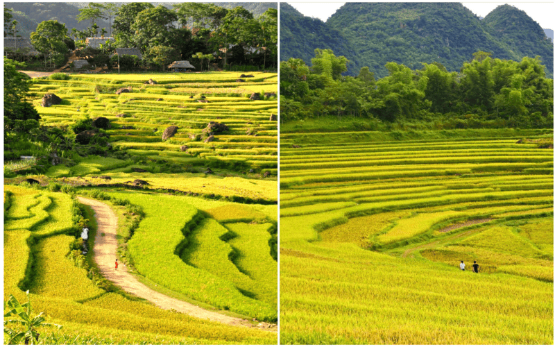 tour-pu-luong-tu-ha-noi-lich-trinh-gia-kinh-nghiem2
