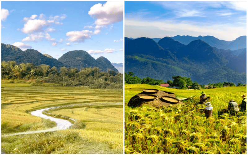 tour-pu-luong-tu-nghe-an-cam-nang-dat-tour-chi-tiet7