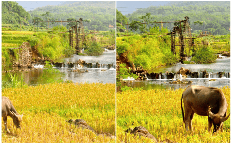 tour-pu-luong-tu-thanh-hoa-tron-goi-moi-nhat-202611